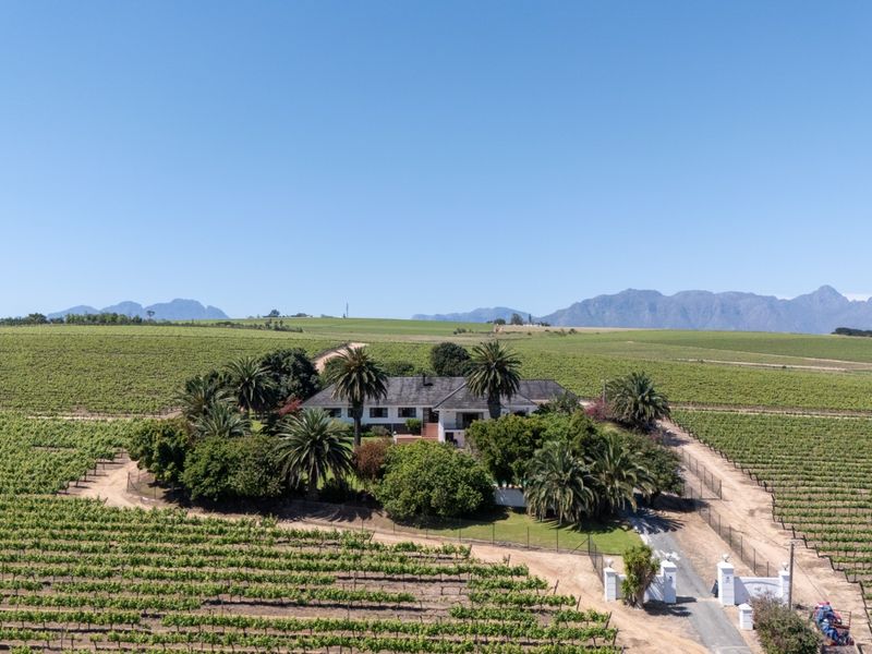 Aerial view of a sprawling farm property featuring extensive vineyards, a gated entrance, and mature landscaping surrounding the main residence.