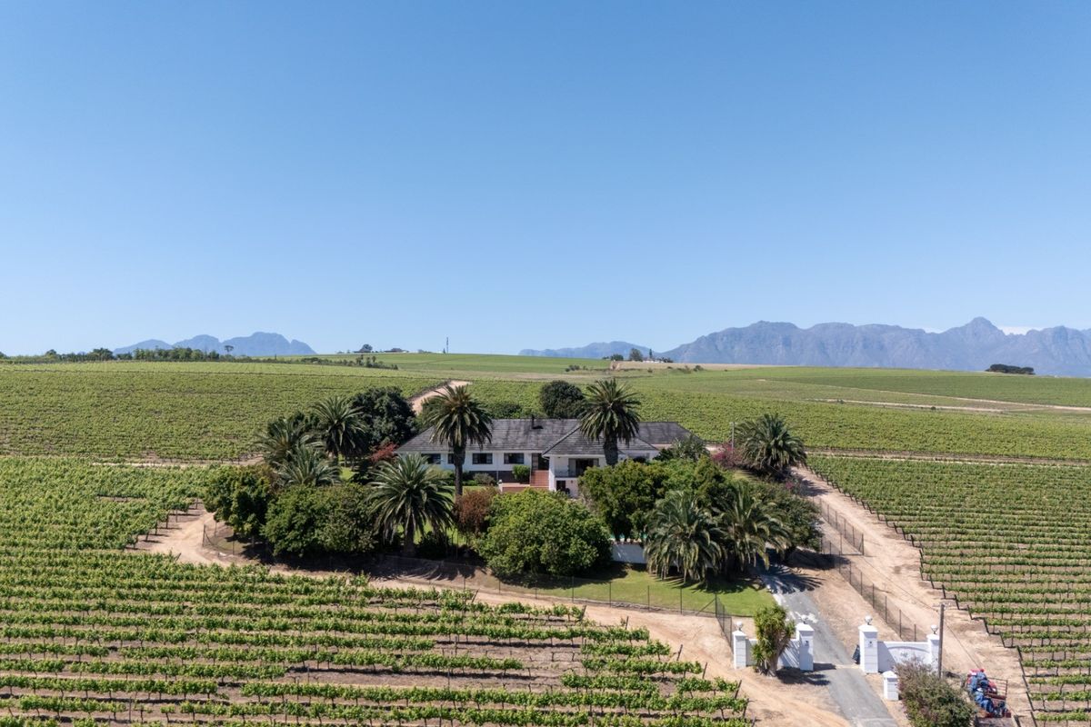 Aerial view of a sprawling farm property featuring extensive vineyards, a gated entrance, and mature landscaping surrounding the main residence.