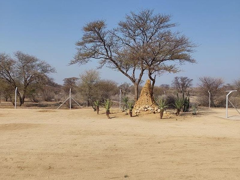 FOR SALE - Plot with Luxurious House in Omaruru Wildlife Estate - Photo 4