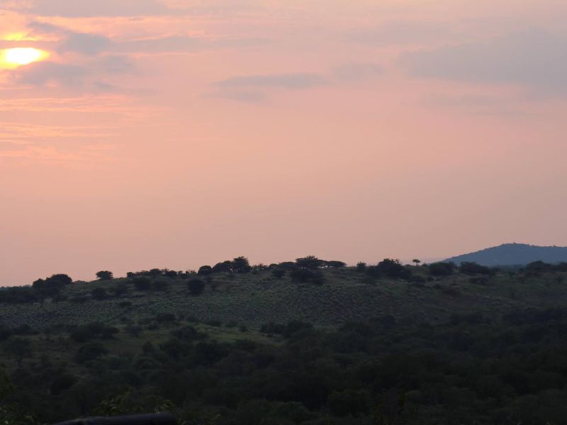 360 GAME FARM AND LODGE FOR SALE BETWEEN BRITS AND THABAZIMBI - Photo 9