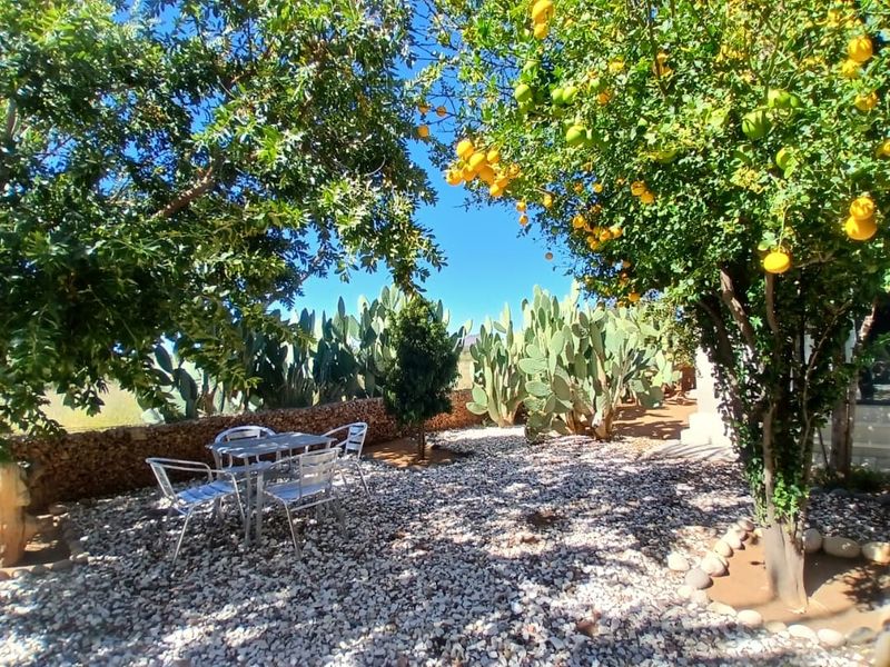 A well-maintained garden area featuring mature fruit trees, a cactus collection, and a stone retaining wall set against a gravel landscape.