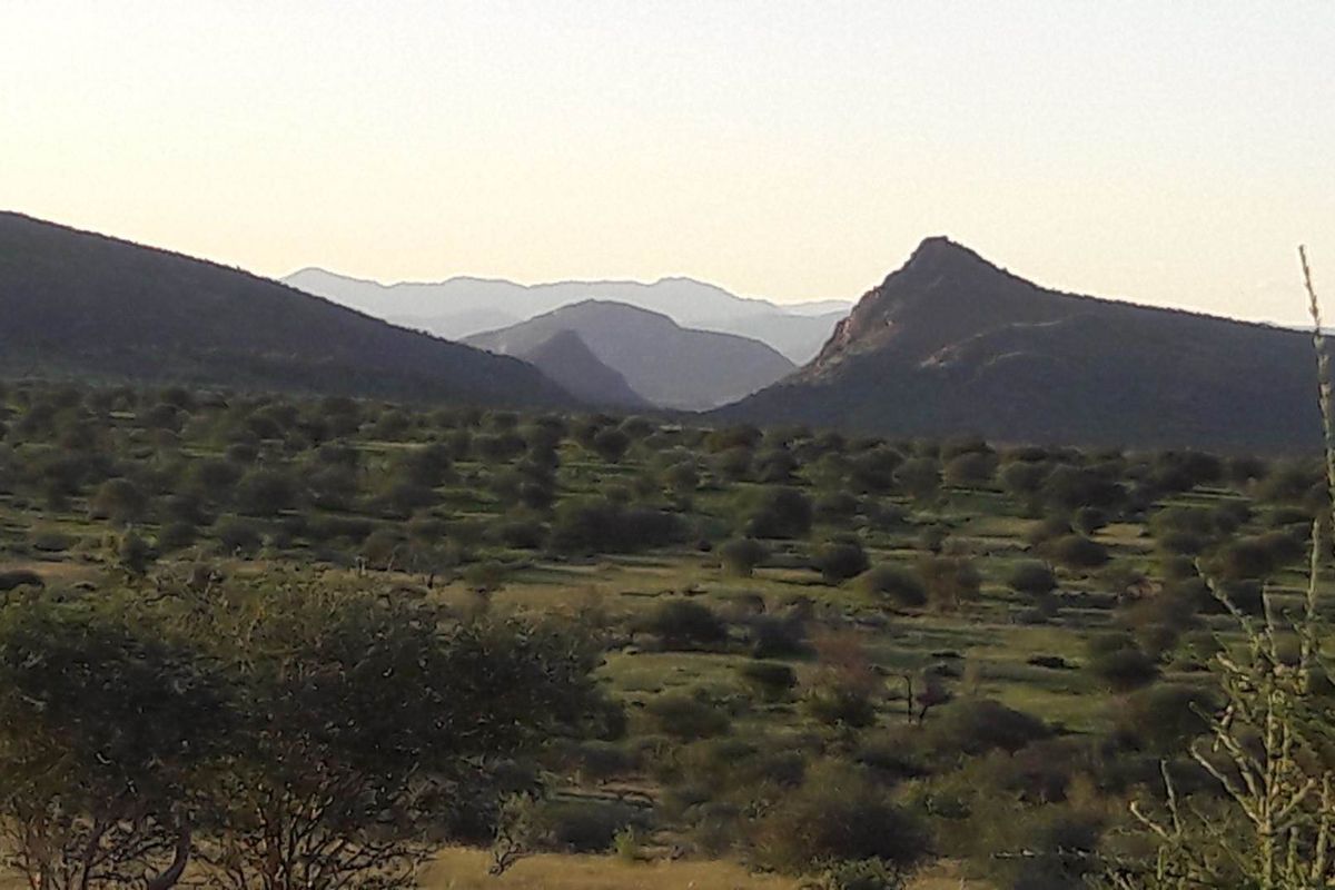 REDUCED!!! Farm south of Karibib 13 222 HA - Photo 3