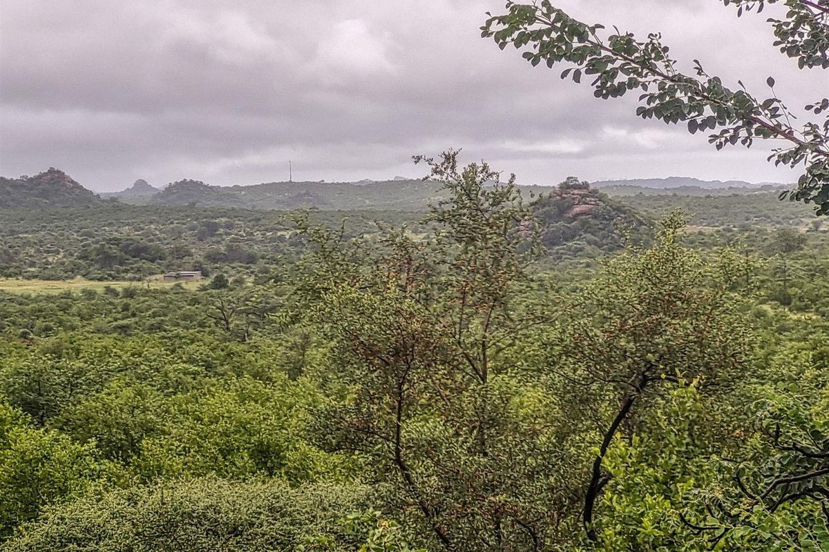 Farm House with additional cottage in excellent location. - Photo 3