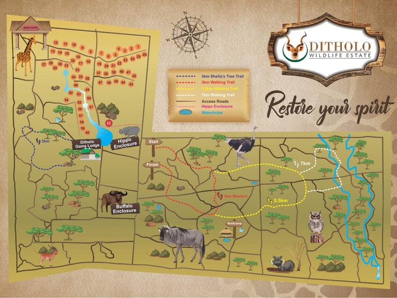 Stand for Sale in Ditholo Game Estate - Photo 6