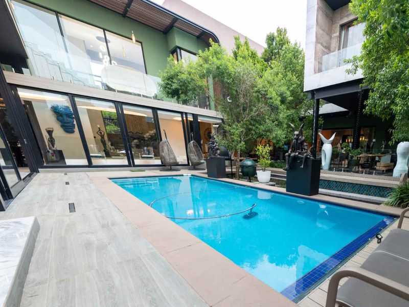 A Living Work of Art in Steyn City - Photo 6