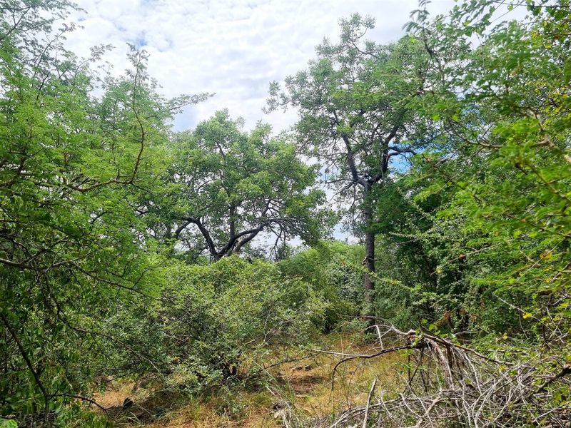 Excellent location - Photo 4