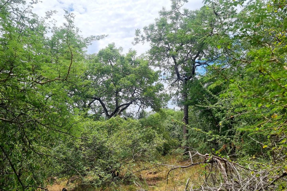 Excellent location - Photo 4