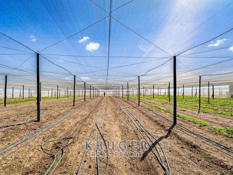 Productive Agricultural Smallholding with Established Income Stream - Photo 7