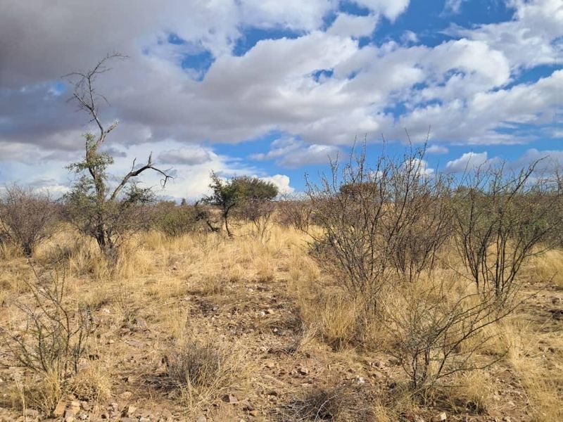 203 Ha farm - Photo 3