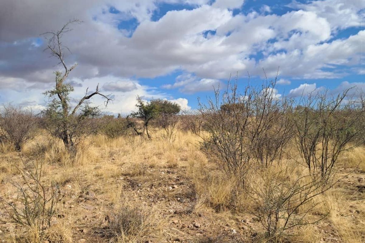 203 Ha farm - Photo 3