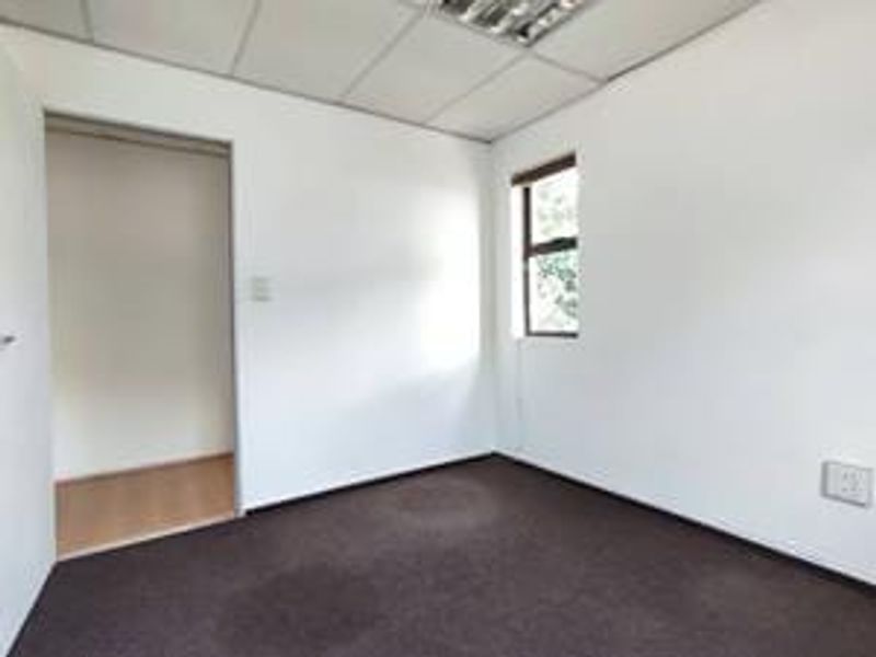 An empty bedroom featuring a drop ceiling, carpeted flooring, and a window, providing a blank canvas for potential renovation or staging.