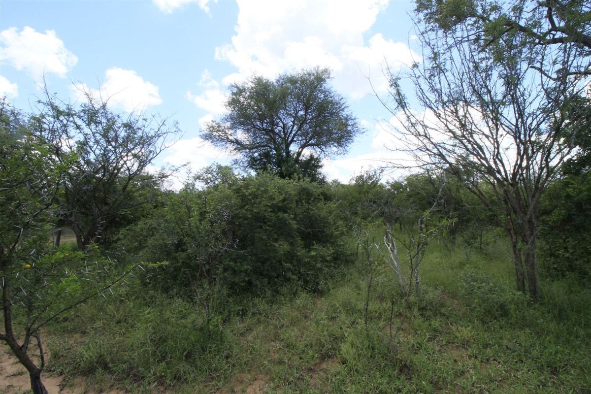 Vacant Land in MODITLO NATURE RESERVE - Photo 5