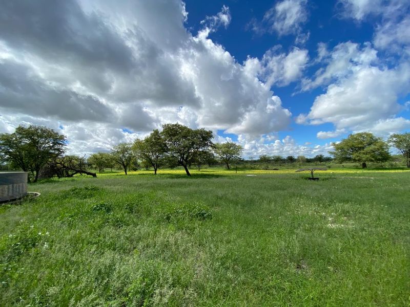 Large-Scale  Game Farm for Sale – Power, Production & Potential - Photo 9