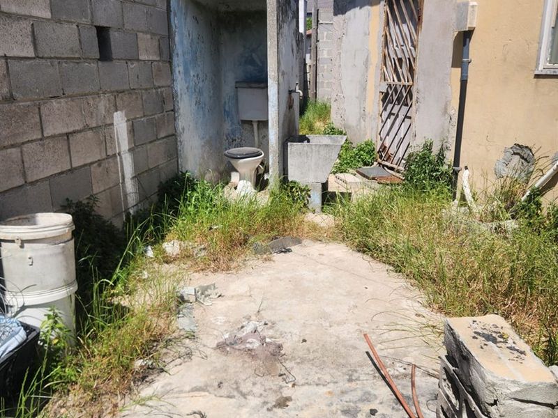 Rear exterior area featuring a concrete utility sink, outdoor toilet, and paved surface, currently in a state of significant disrepair and neglect.