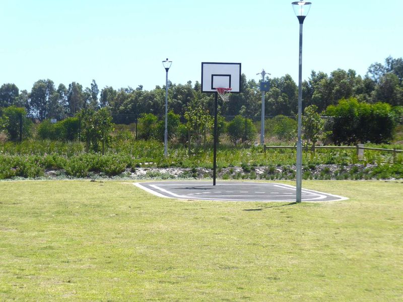 A well-maintained outdoor basketball court area situated within a landscaped residential green space, featuring a paved court and integrated lighting.