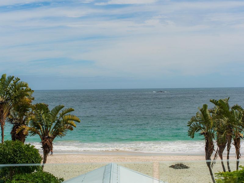 A scenic elevated view overlooking the sandy beach and ocean, framed by palm trees and a modern glass balustrade.