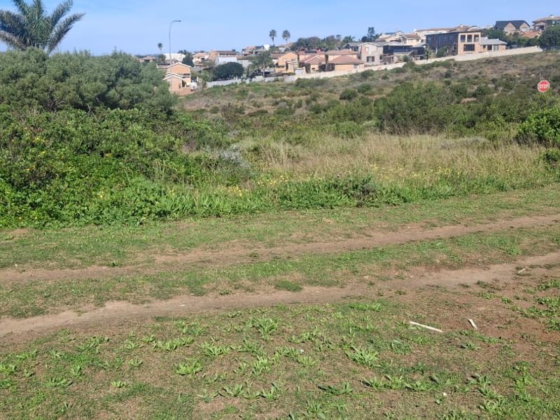 A view of a vacant residential plot featuring natural grassland and surrounding neighborhood vegetation.