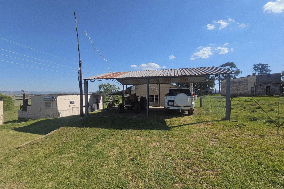 Well-Watered Mixed-Farming Opportunity in the Ladybrand District - Photo 4