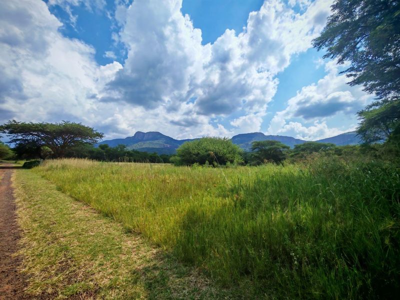 Vacant Stand in Sharalumbi Wildlife Estate - Photo 10