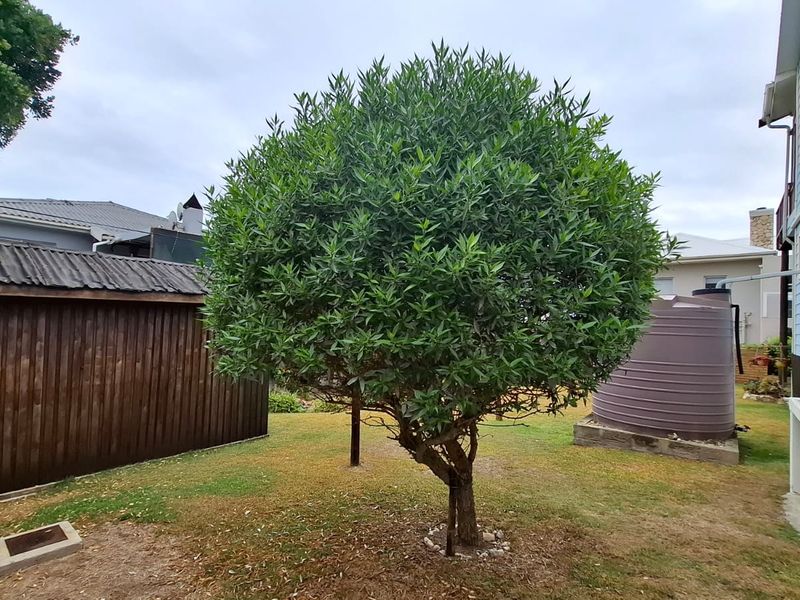 Seaside Serenity: Accessible Coastal Retreat Awaits! - Photo 7