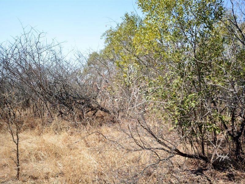Vacant Land in MODITLO NATURE RESERVE - Photo 5