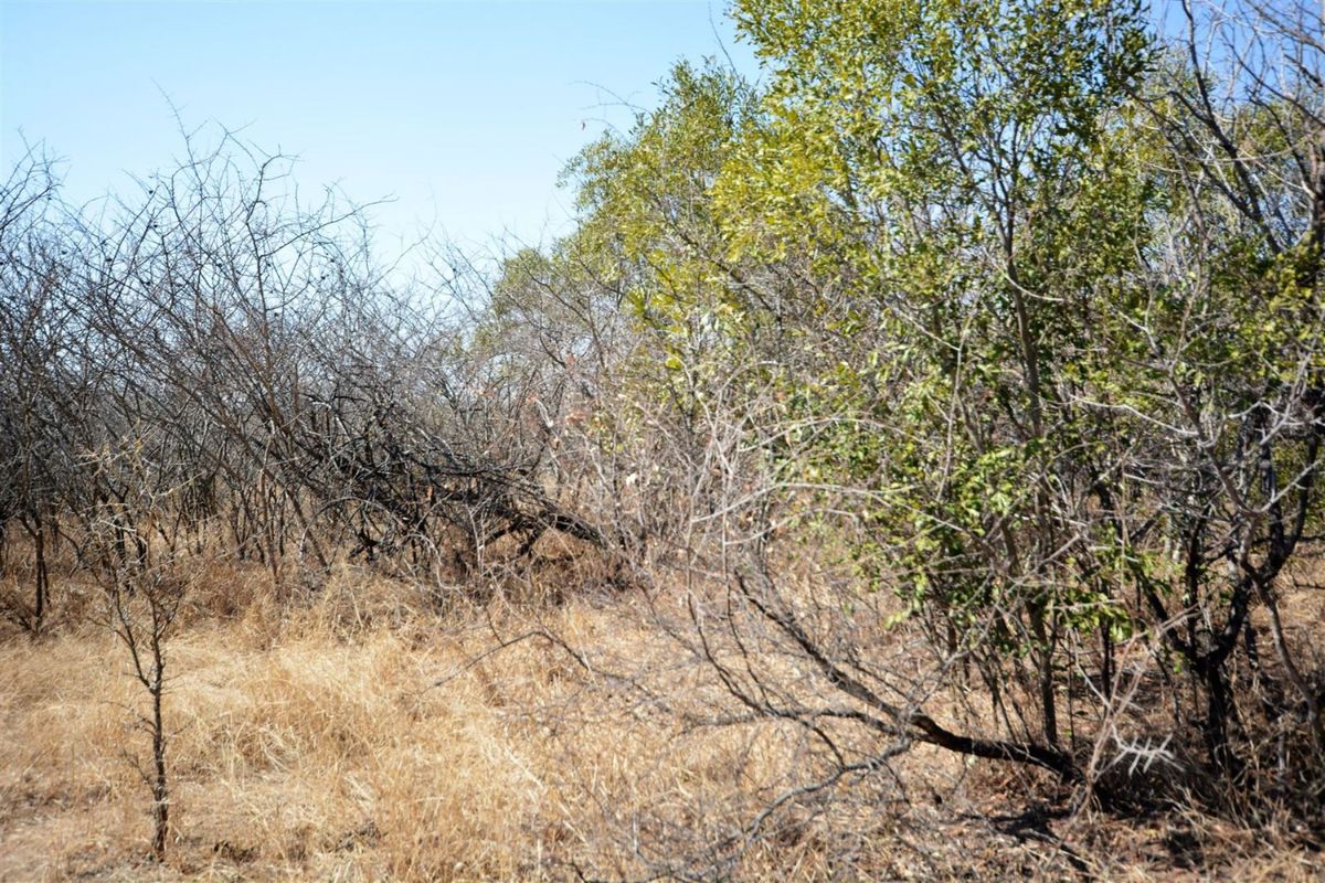 Vacant Land in MODITLO NATURE RESERVE - Photo 5