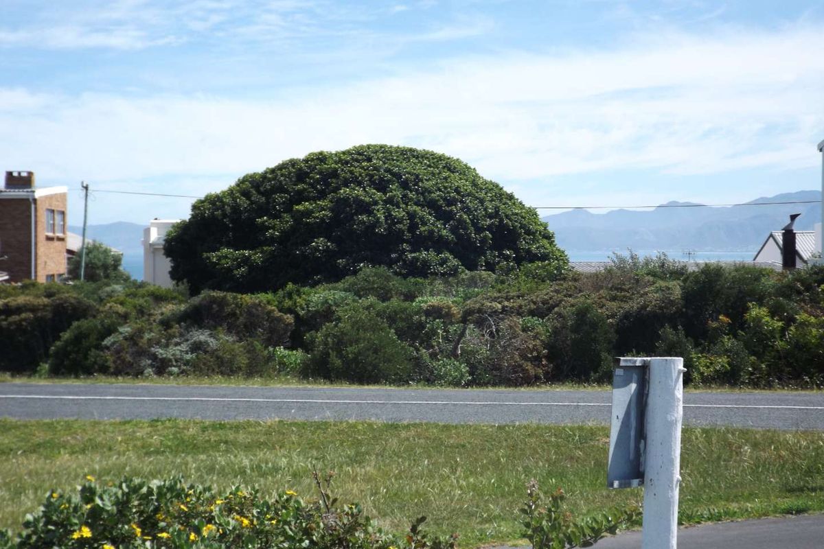 PLOT OFFERS  SEA AND MOUNTAIN VIEW - Photo 5