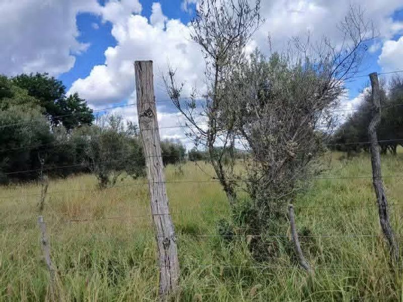 A view of agricultural land featuring natural vegetation, mature trees, and perimeter wire fencing with wooden posts.