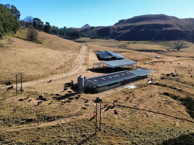 Aerial view of a rural farm property featuring multiple agricultural buildings, a silo, and extensive grazing land with livestock.