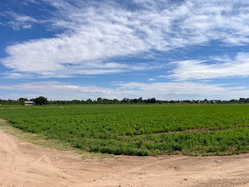 Prime 26 ha Agricultural Property plus 1.5ha building plot for Sale - Photo 5