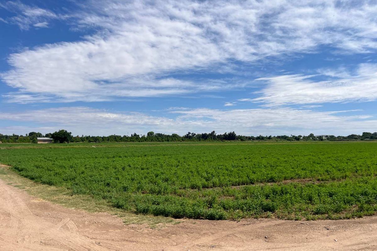 Prime 26 ha Agricultural Property plus 1.5ha building plot for Sale - Photo 5