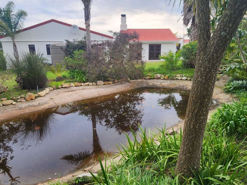 Exterior view of a farm property featuring a natural-style swimming pool with stone edging and a rear view of the main dwelling.