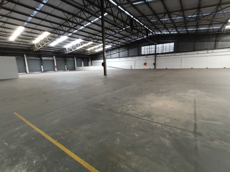 2875m2 - Warehouse, Yard 744m2 - Photo 5