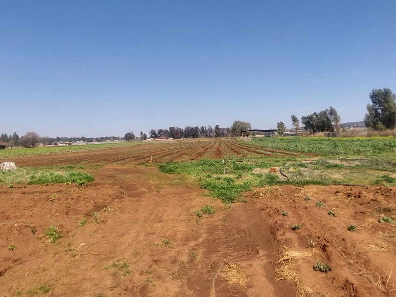 Prime 17.8 Hectare Vegetable Farm for Sale in Eikenhof Johannesburg - Photo 6