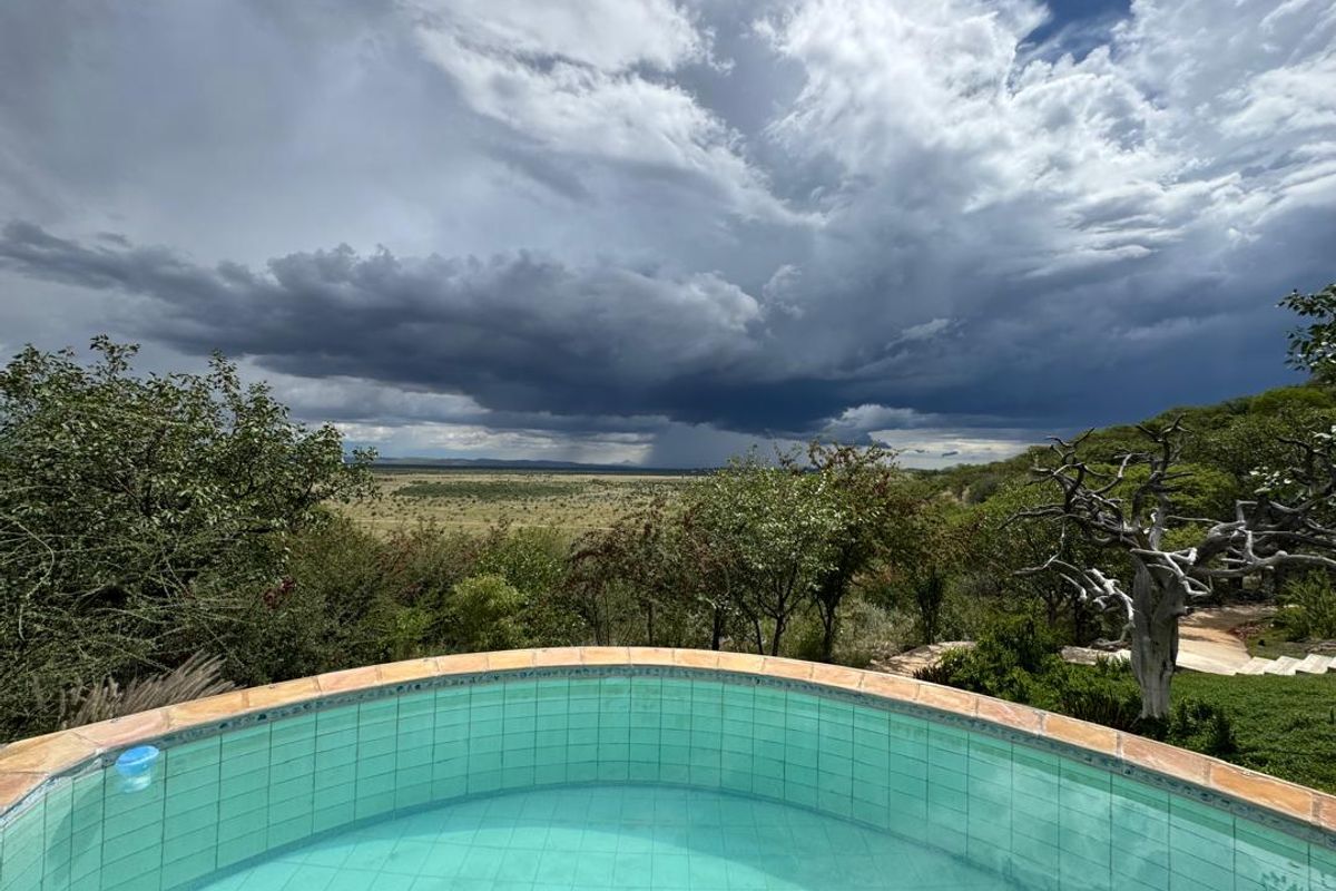 Large-Scale  Game Farm for Sale – Power, Production & Potential - Photo 2