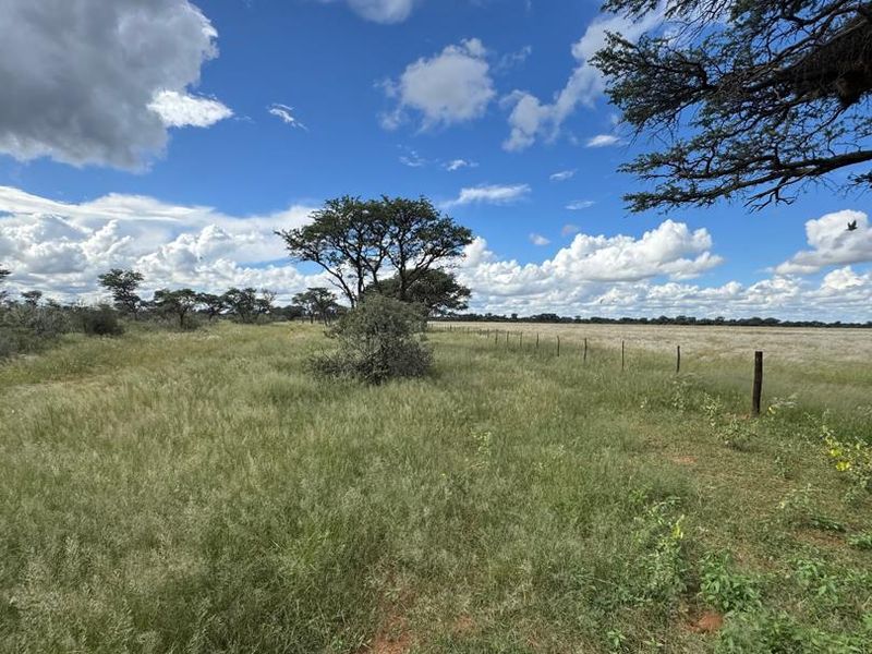 Discover this incredible 4500ha farm offering a perfect blend of modern infrastructure, abundant water resources, and rich wildlife - Photo 6