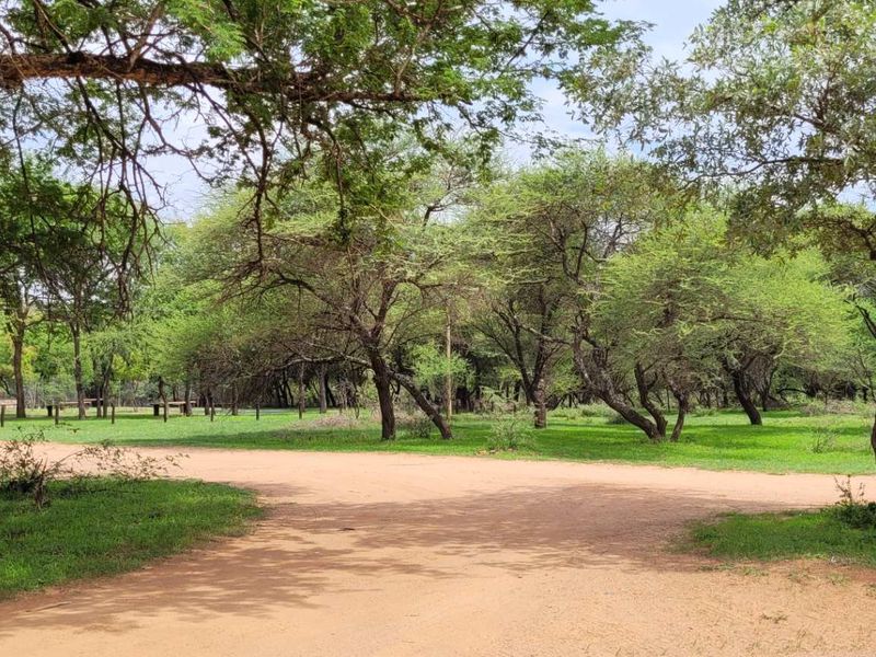 Build Your Ideal Home Here - Photo 7