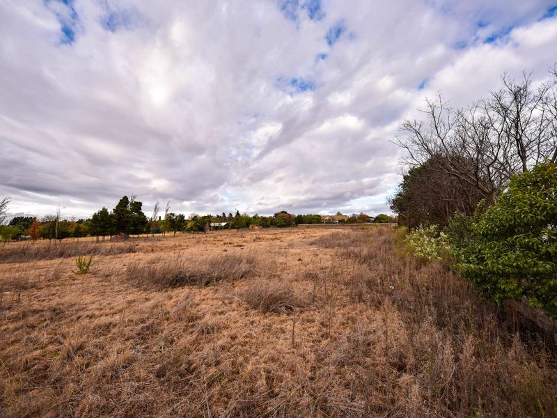 A wide-angle view of a large, undeveloped residential plot featuring dry grassland and mature trees under a cloudy sky.