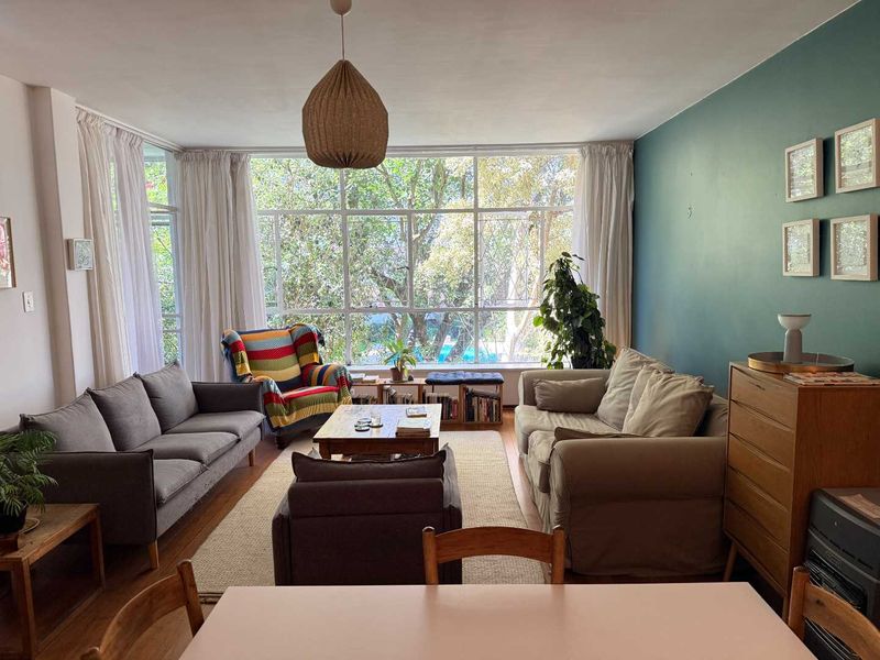 A bright living room featuring large steel-framed windows, hardwood flooring, and a distinctive teal accent wall, offering a pleasant view of mature trees.