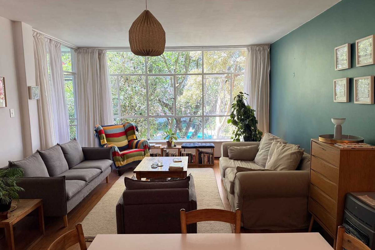 A bright living room featuring large steel-framed windows, hardwood flooring, and a distinctive teal accent wall, offering a pleasant view of mature trees.