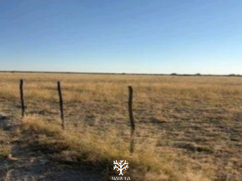 FARM FOR SALE IN GROOTFONTEIN - Photo 2