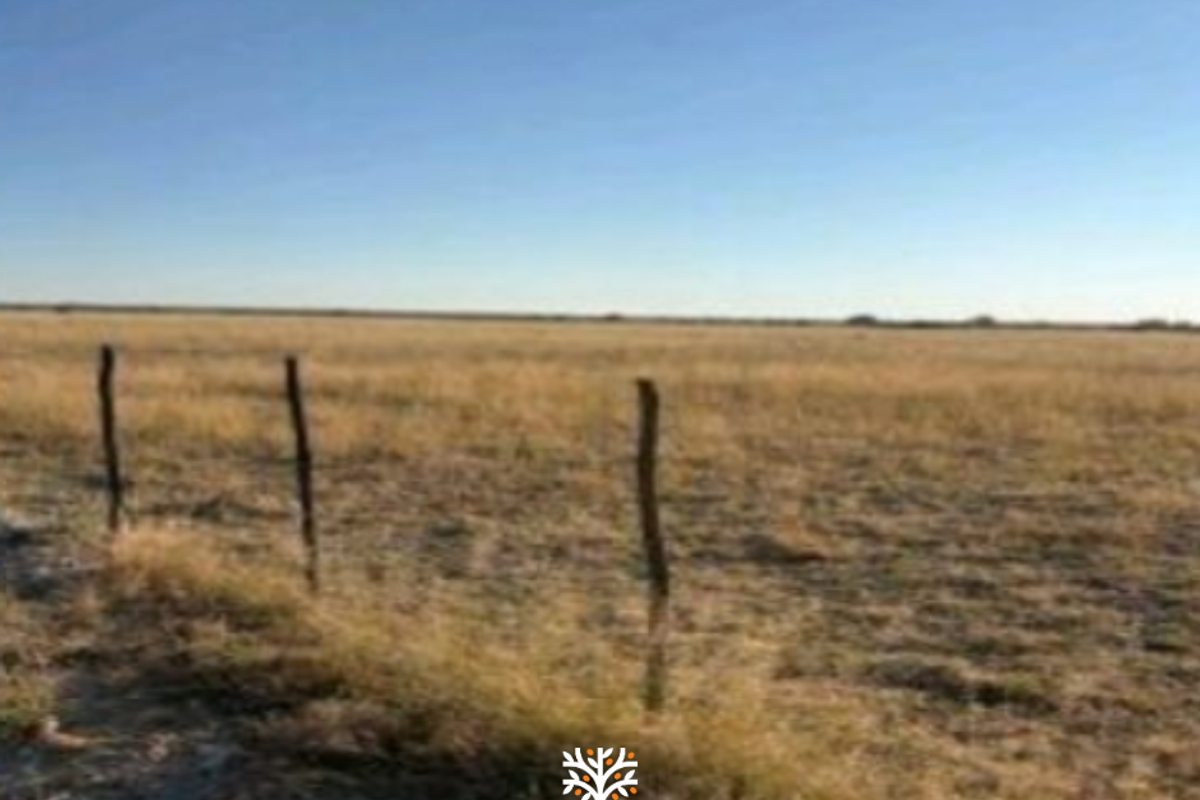 FARM FOR SALE IN GROOTFONTEIN - Photo 2