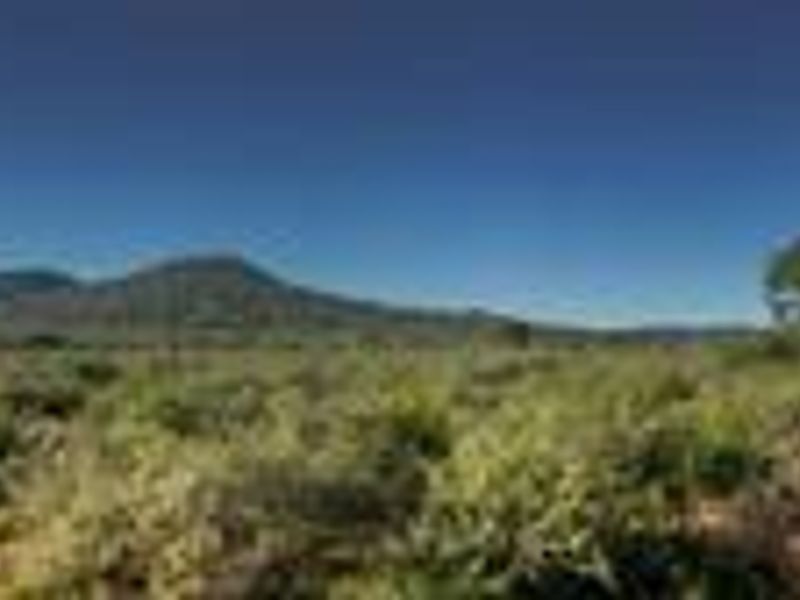 PROPERTY IN AREA OF OTJIWARONGO FOR SALE - Photo 4