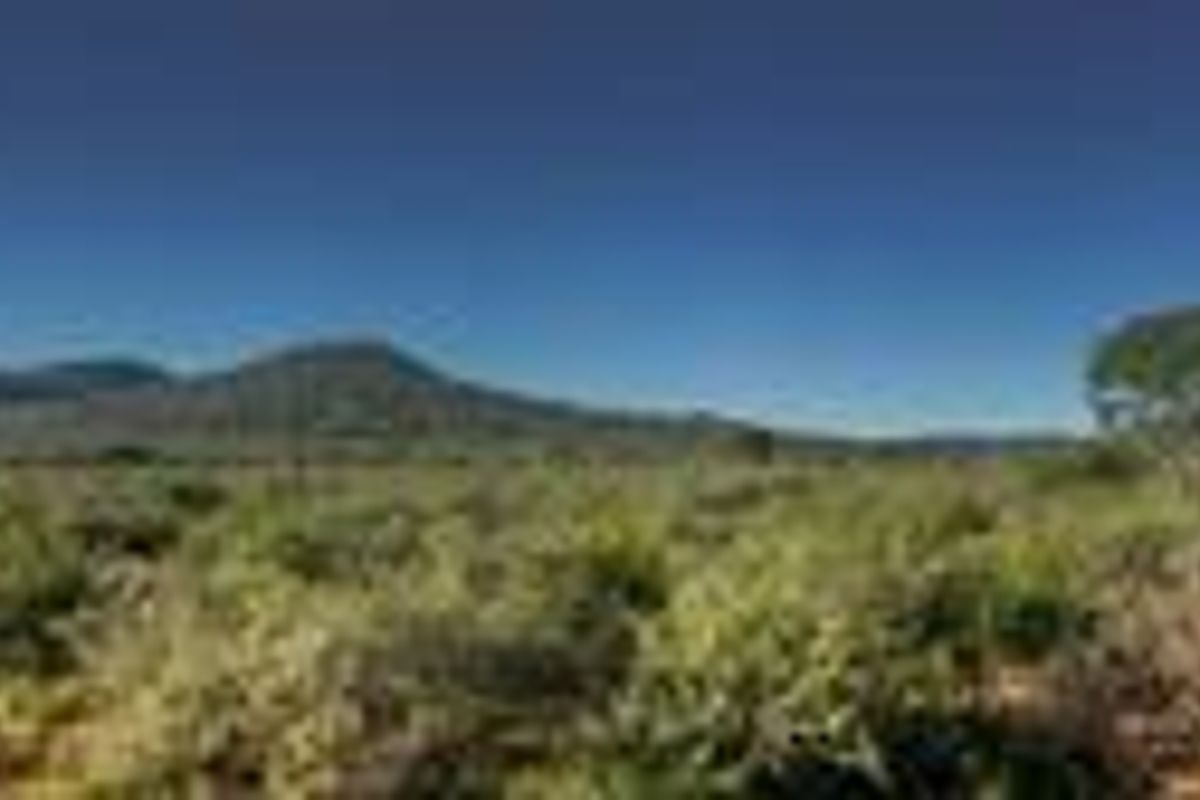 PROPERTY IN AREA OF OTJIWARONGO FOR SALE - Photo 4