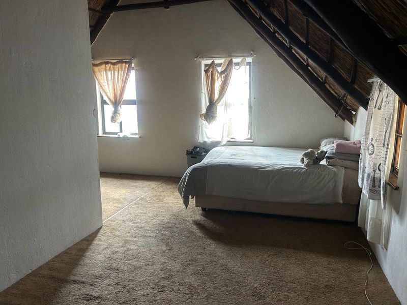 A rustic attic-style bedroom featuring exposed thatch roofing, carpeted flooring, and multiple windows providing natural light.