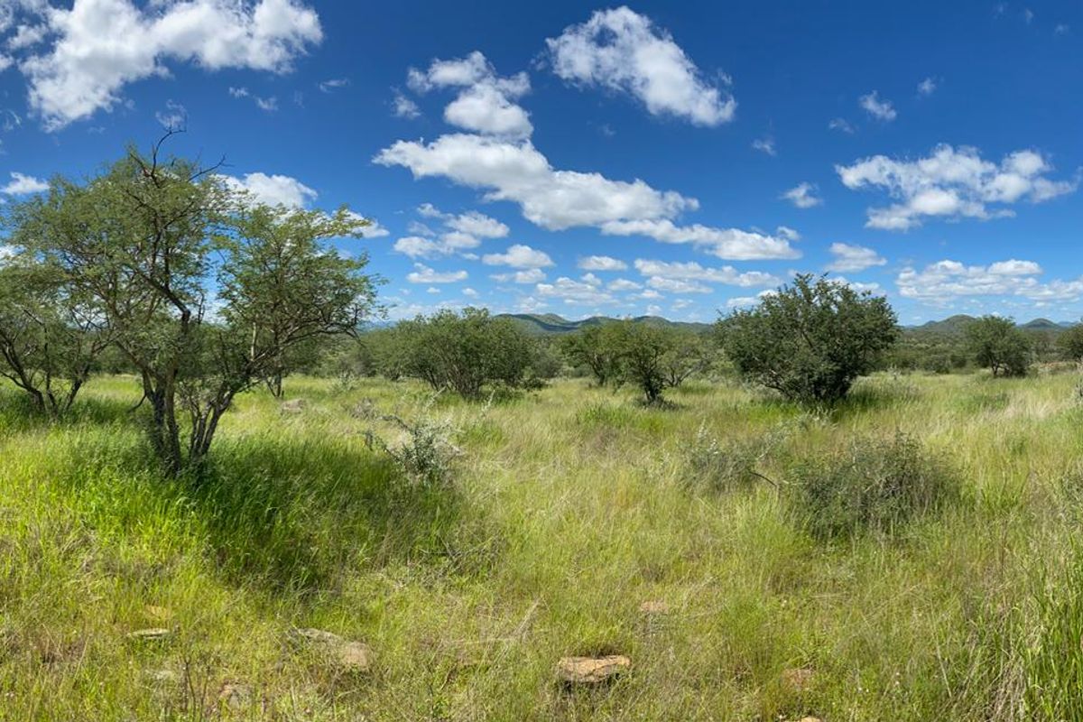 A panoramic view of the expansive natural landscape, featuring indigenous trees and open grassland under a clear blue sky.
