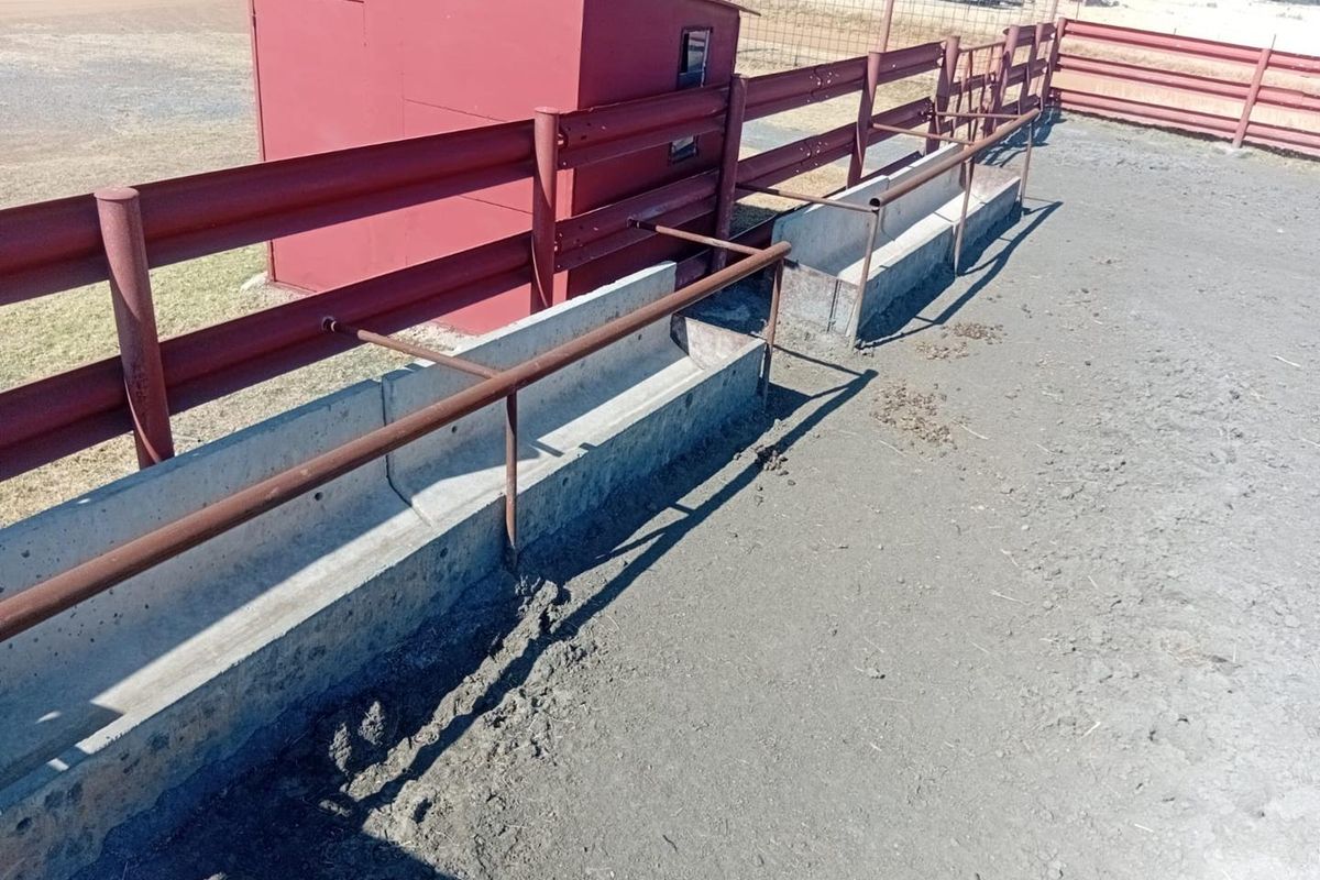 Kraal & Grazing Land to Rent – Withok Estate, Brakpan - Photo 3