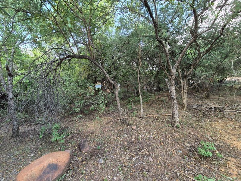 400m2 Level Stand - Photo 6