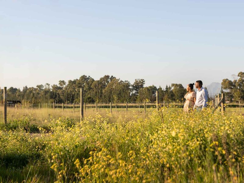 Incredible Stand on Paarl Valleij Lifestyle Estate & Farm, Offering Exceptional Views Within a Secure Estate - Photo 9