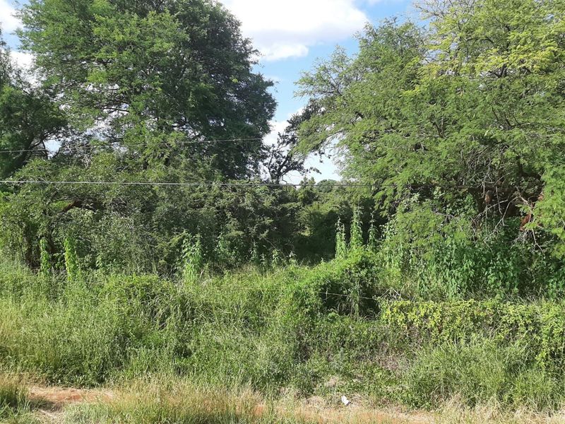 Stand for sale in Gravelotte - Photo 7